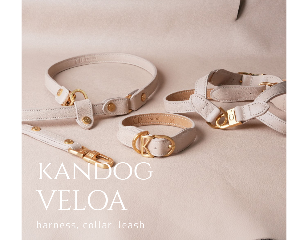 KANDOG Velour Collar detail 1