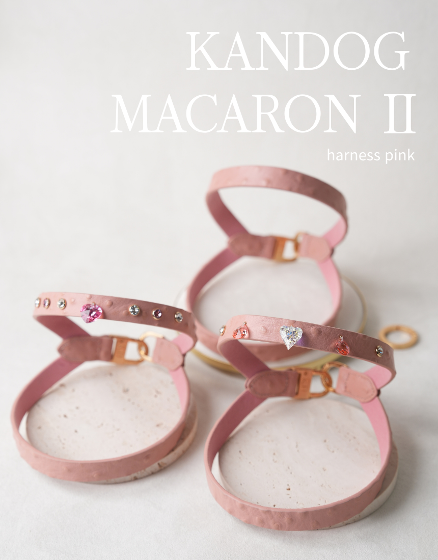 Macaron II Harness detail 18