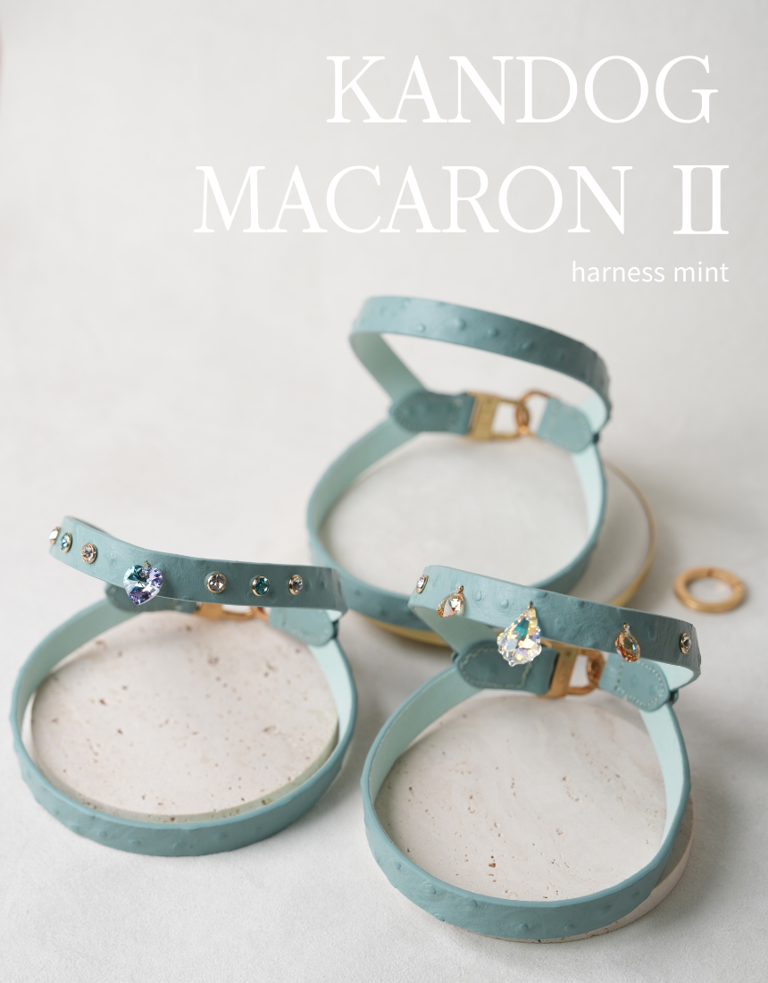 Macaron II Harness detail 26