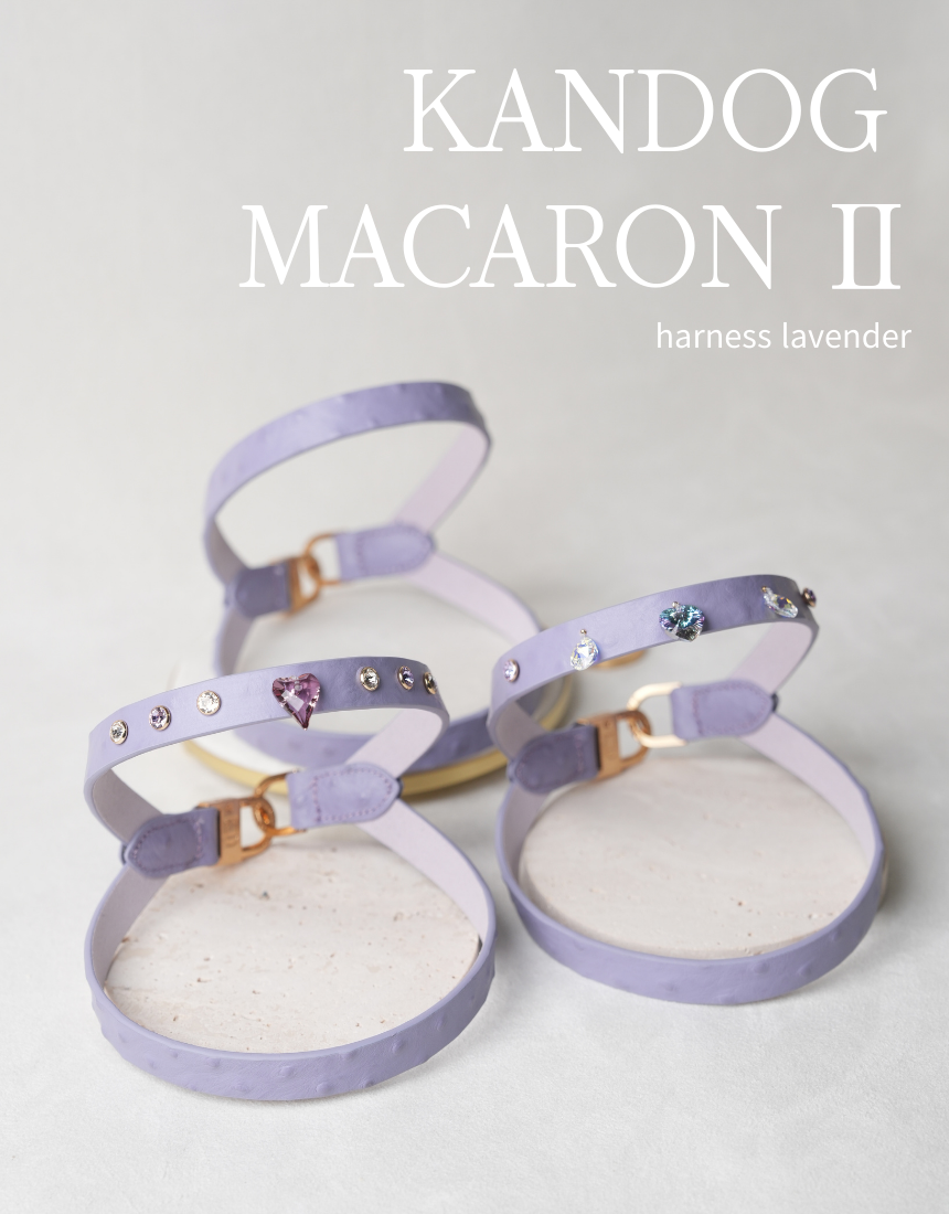 Macaron II Harness detail 34