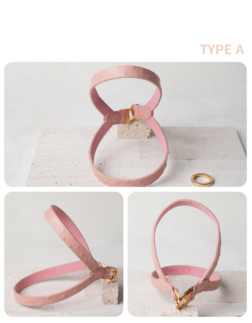 Macaron II Harness detail 19