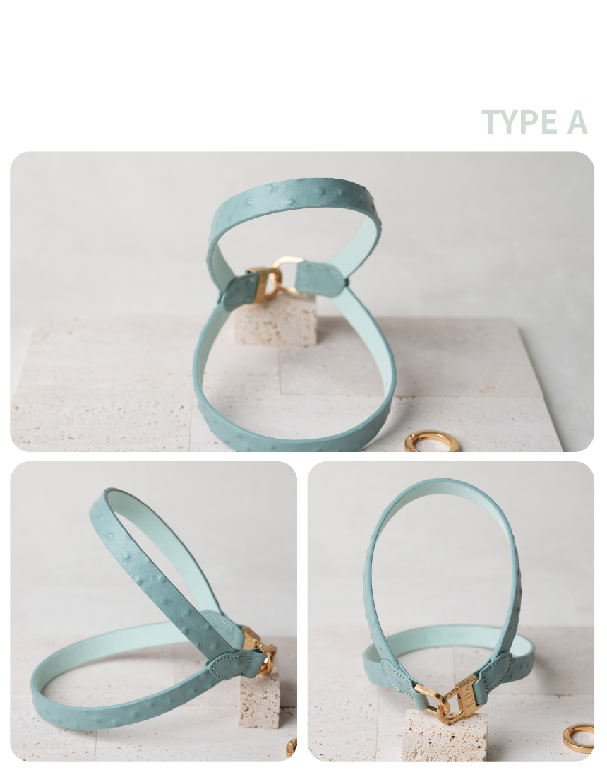 Macaron II Harness detail 27