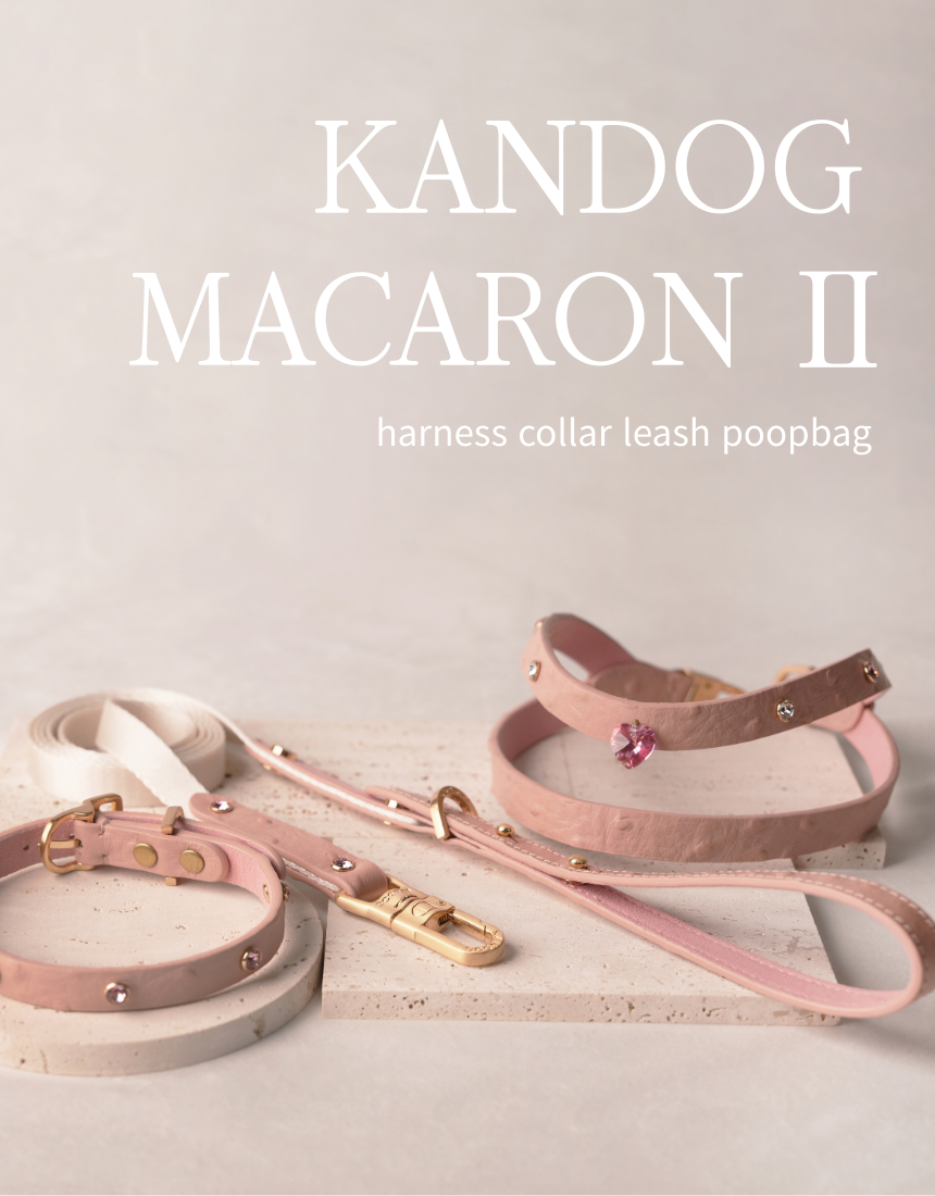 Macaron II Harness detail 1