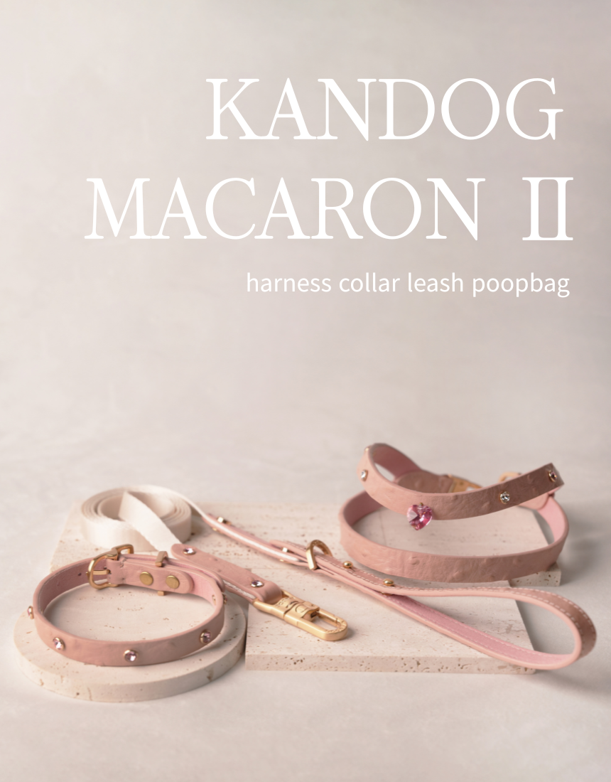 Macaron II Collar detail 1