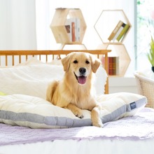 PETTAIL Macaron Pet Carrier Bag - Inner Cushion detail 50