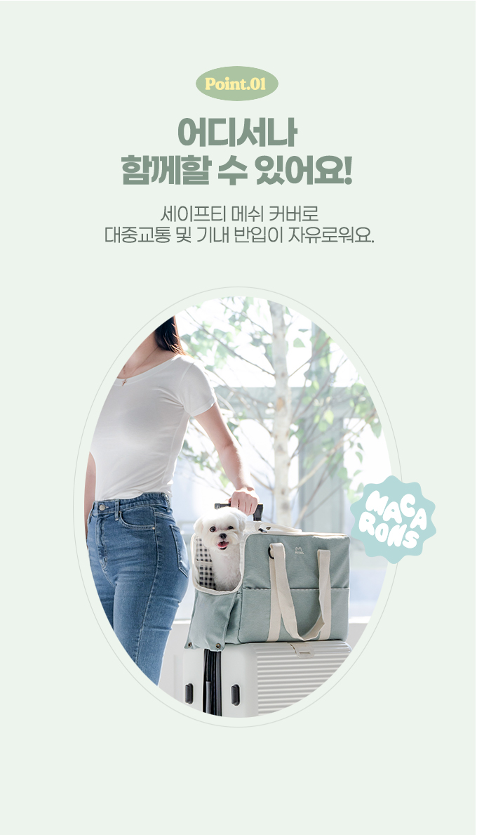 PETTAIL Macaron Pet Carrier Bag detail 6
