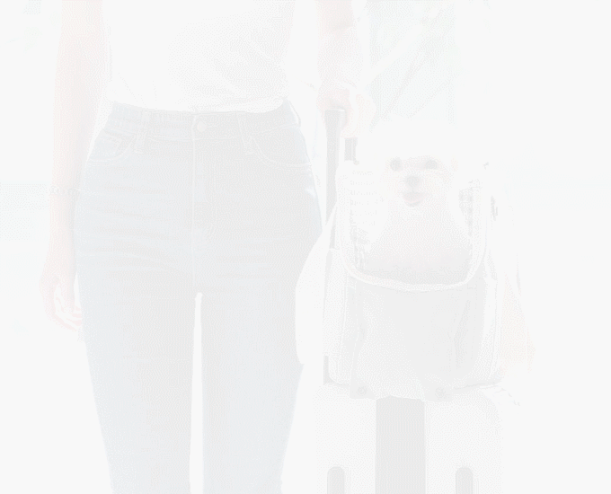 PETTAIL Macaron Pet Carrier Bag detail 7